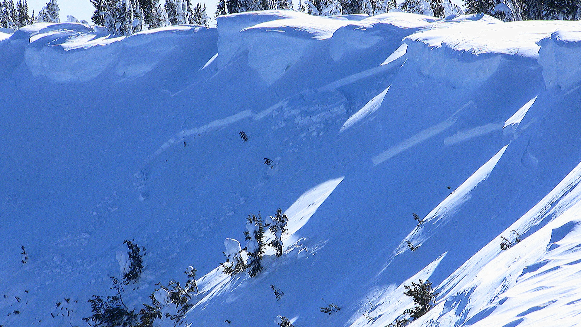 Avalanche Sunlight Basin