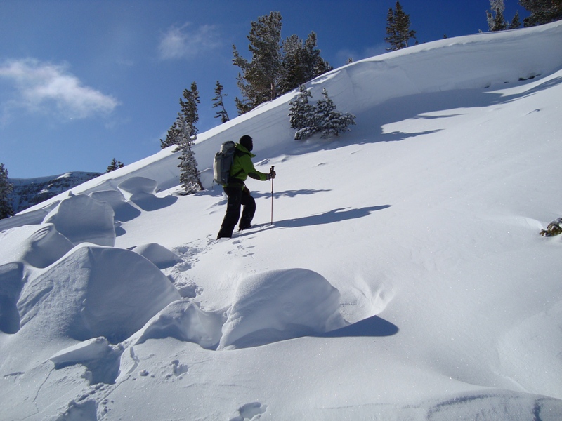 Avalanche near Lionhead