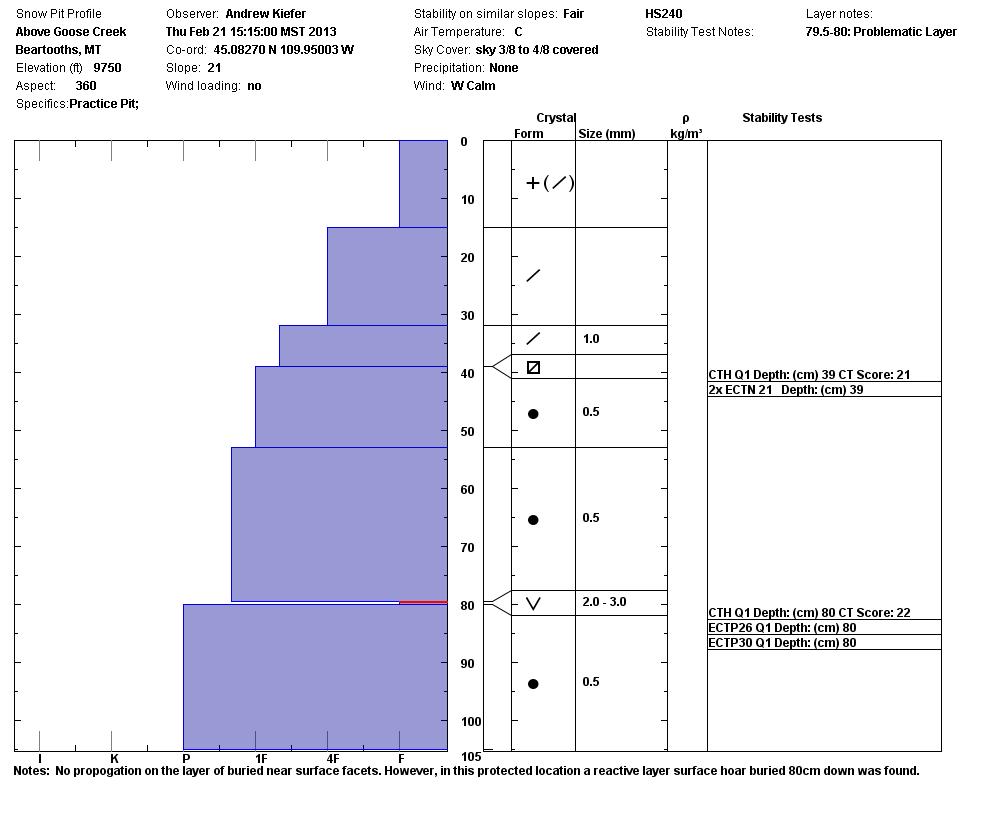 Goose Creek Snowpit Profile