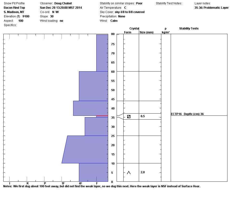 Bacon Rind Top Snowpit Profile