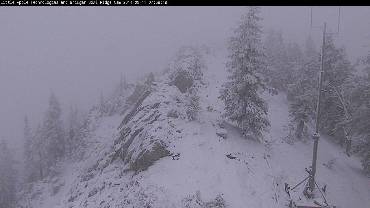 Fresh Snow at Bridger Bowl