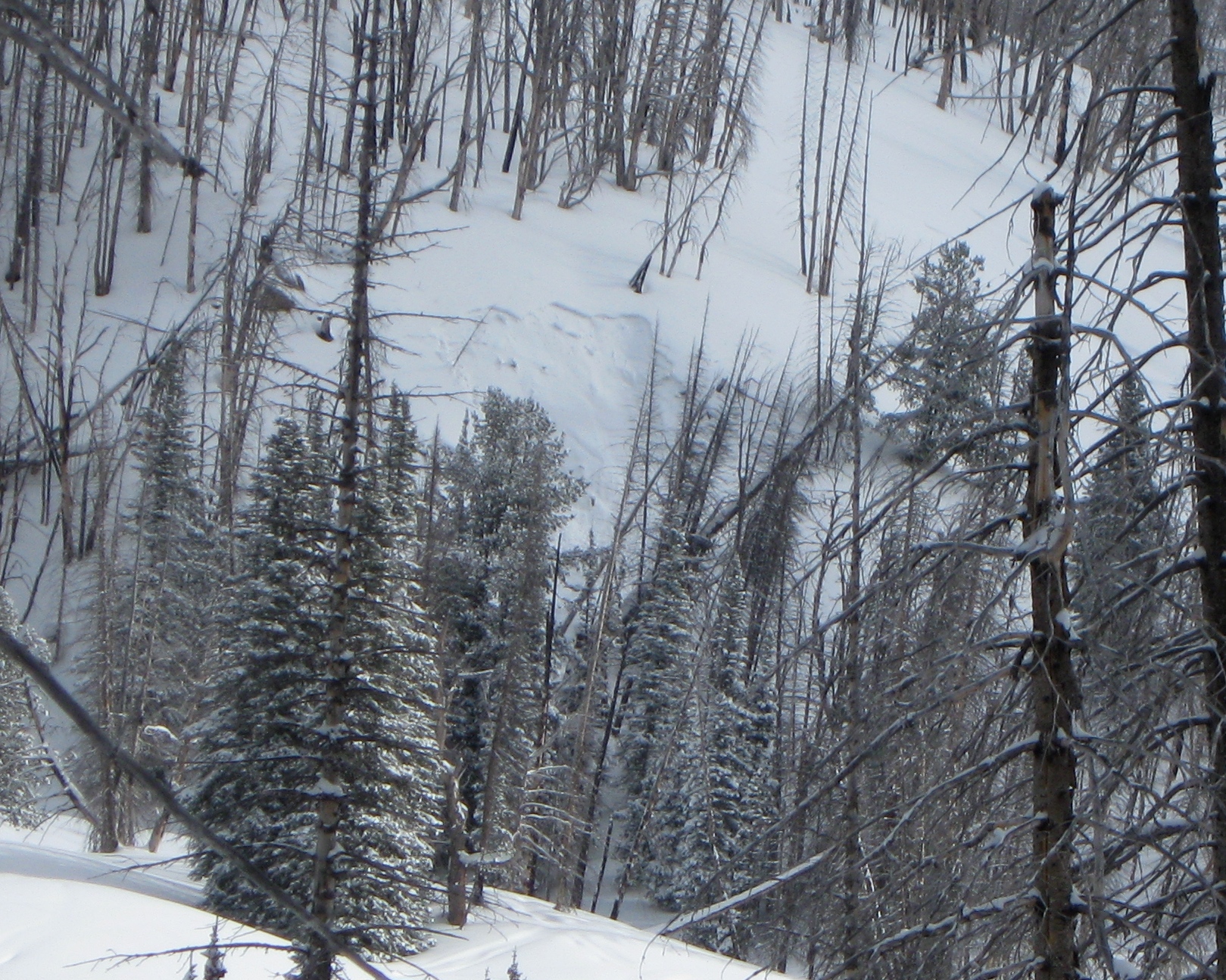 Small Natural Avalanche - Cabin Creek