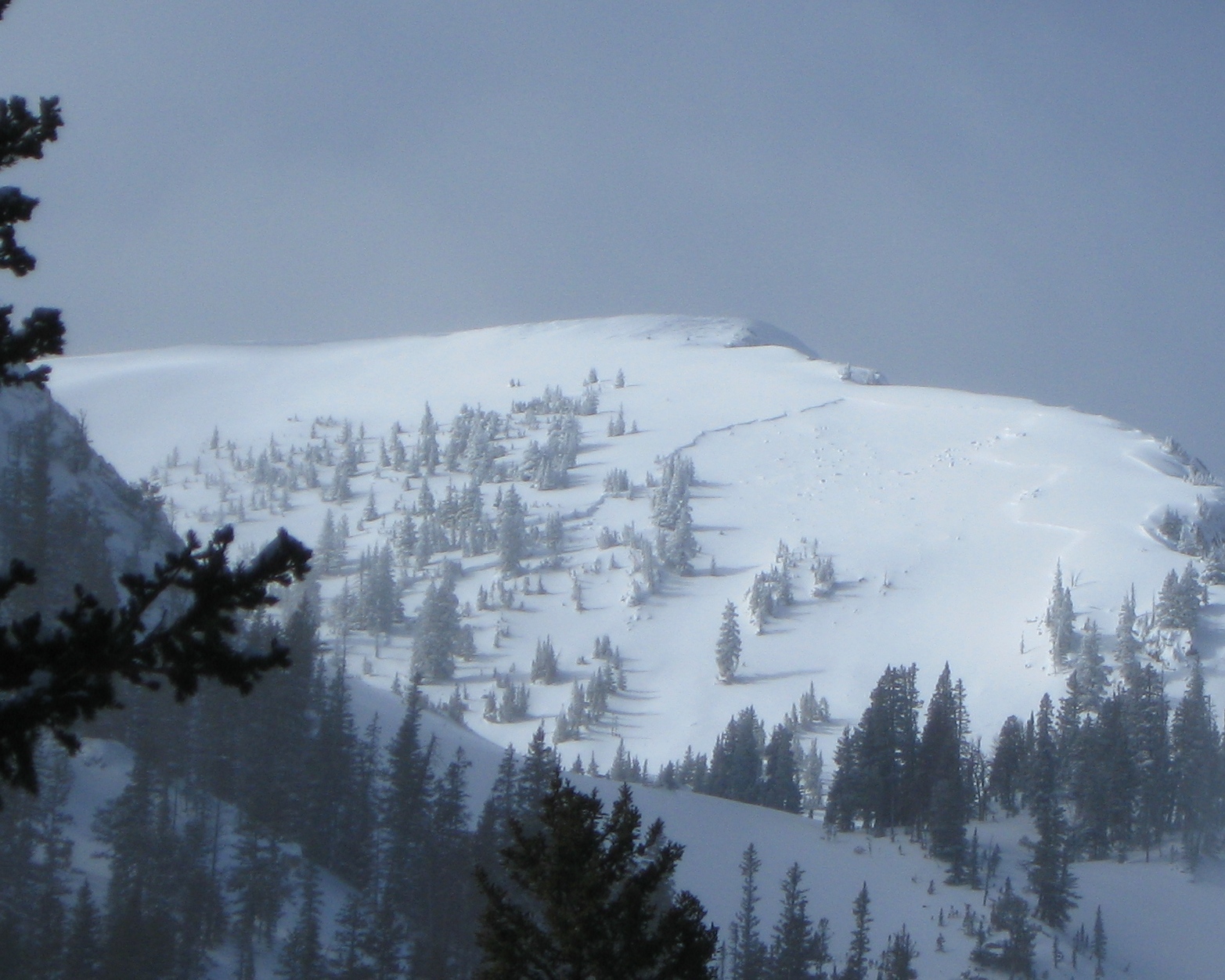 Natural Avalanche northern Bridger Range