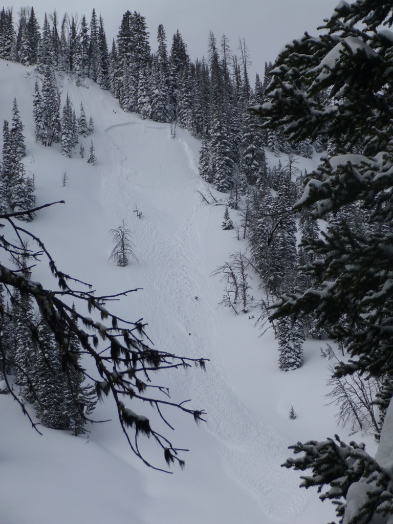 Natural Avalanche near Carrot Basin