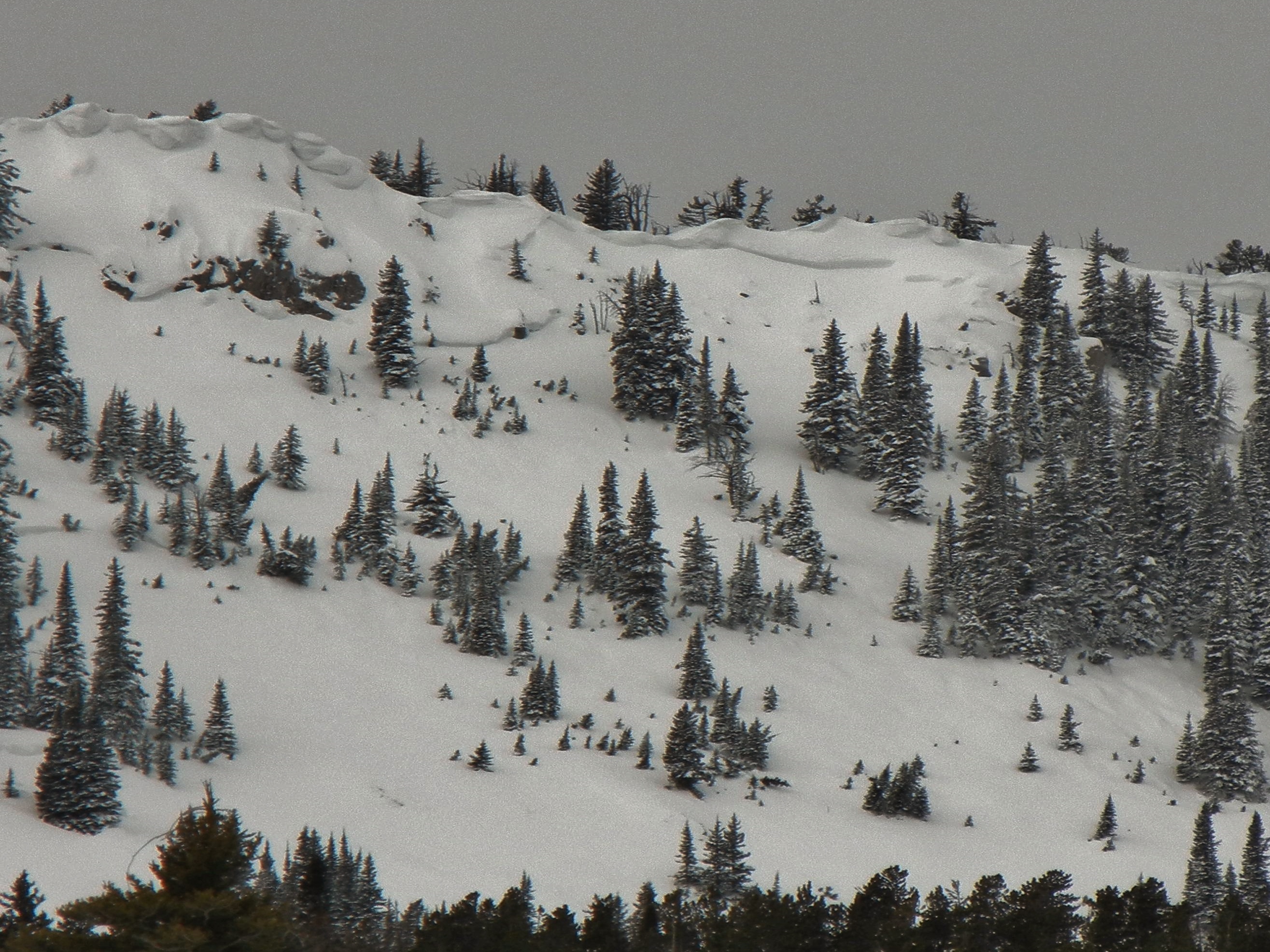 Northern Bridgers Avalanche 1