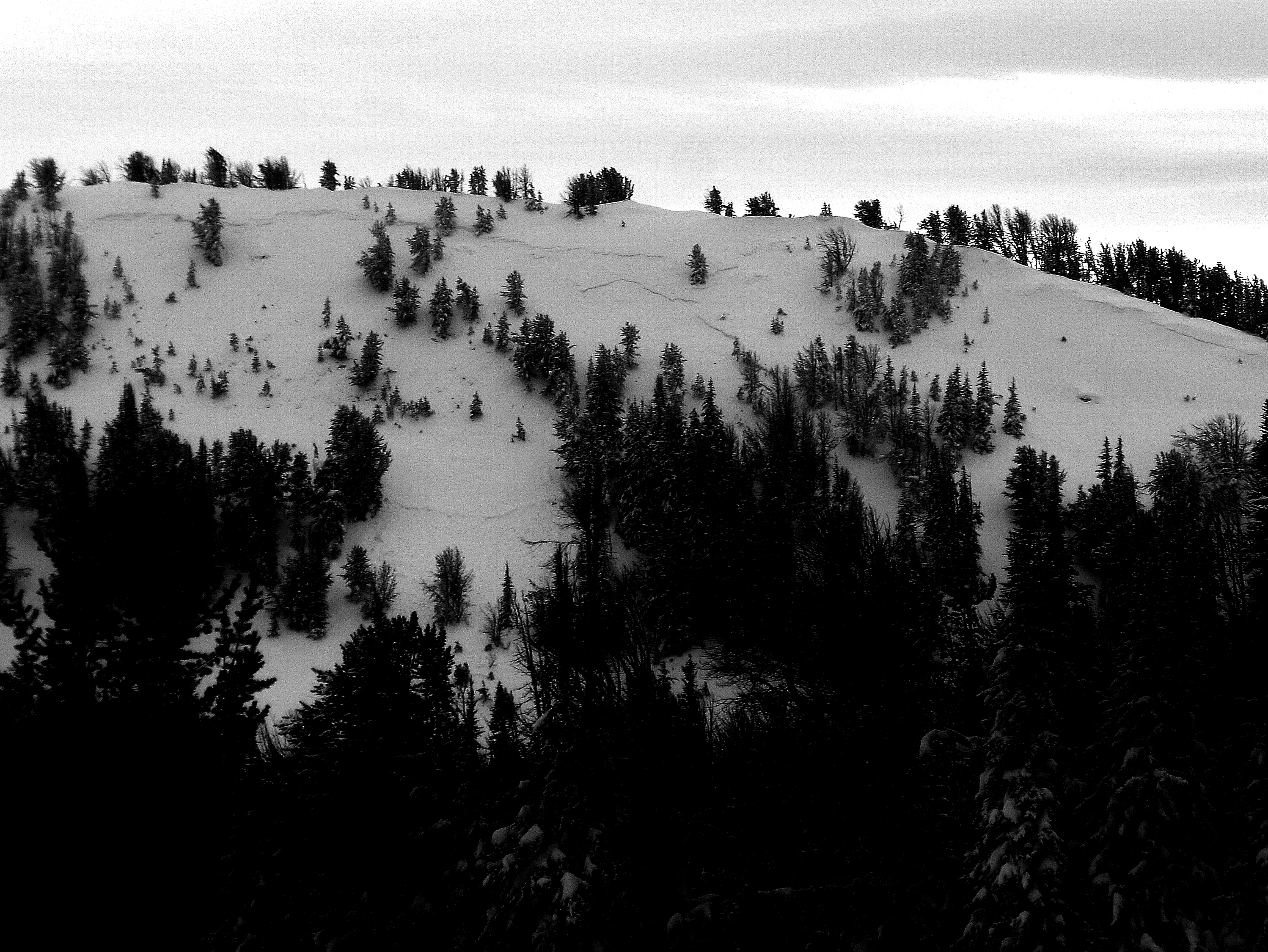 Natural Avalanche at Buck/McAtee Divide