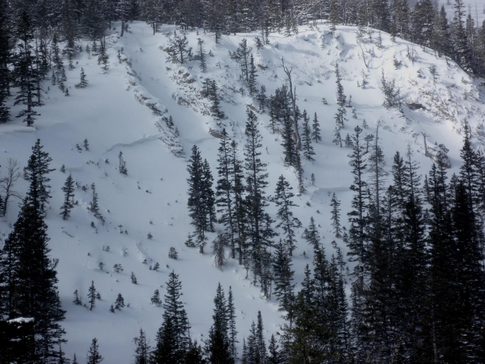 Natural Avalanche near Sacajawea