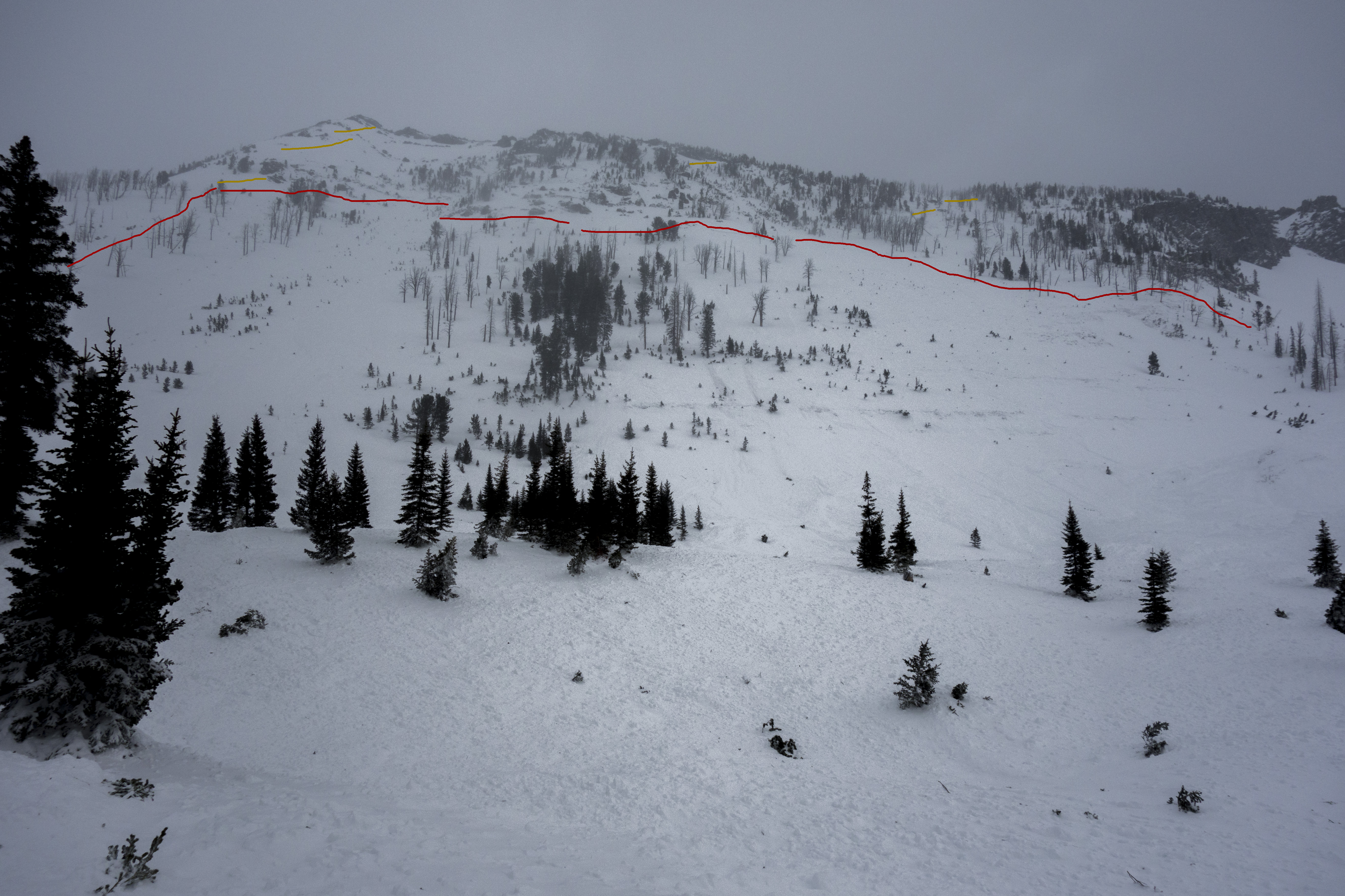 Natural avalanche in Sheep Creek near Cooke - 2