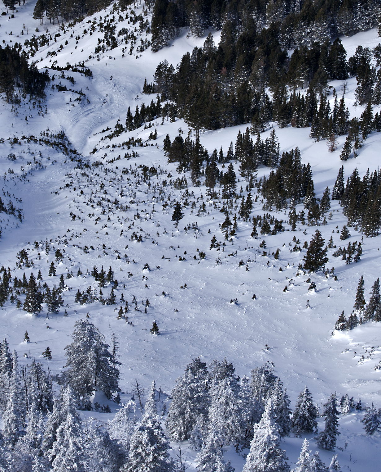 Skier Triggered Avalanche - Bridger West Side