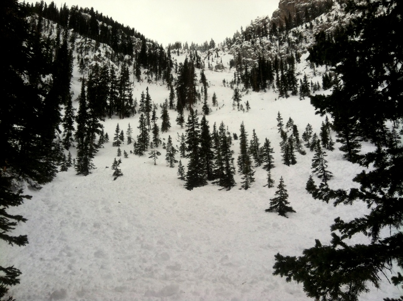 Avalanche Wolverine Bowl