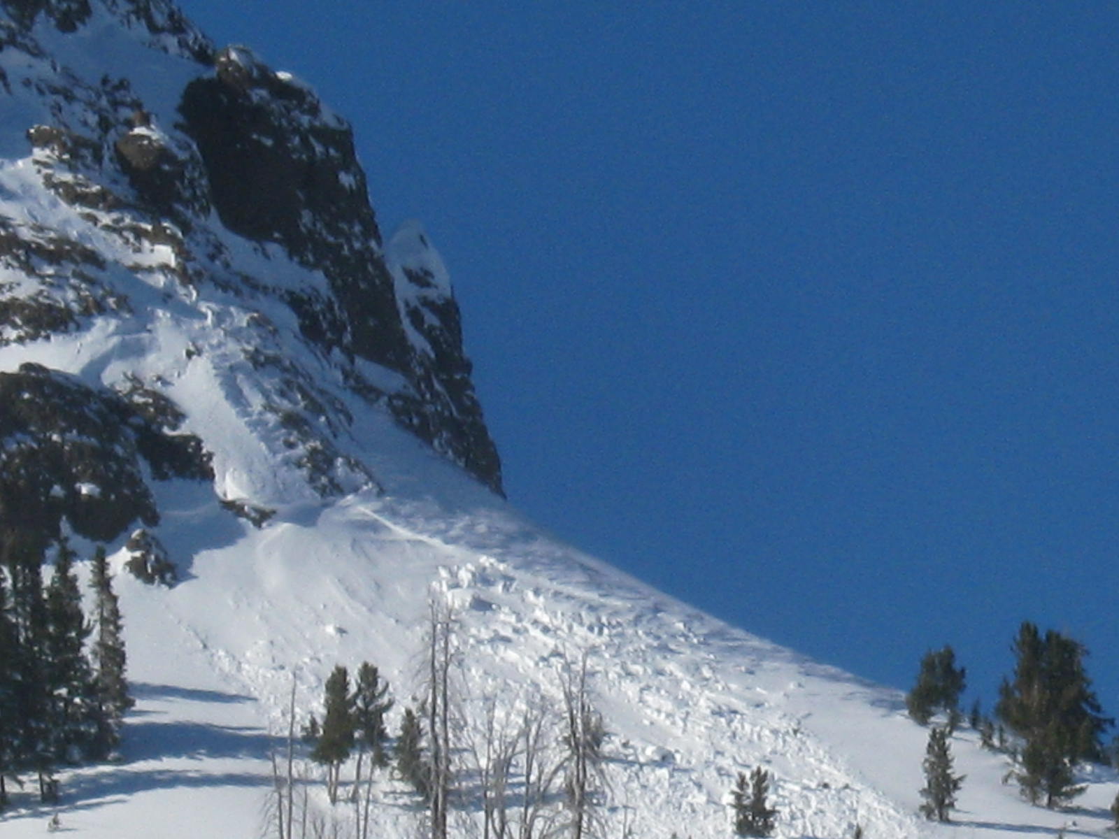 Natural Slide Mt Abundance - Cooke City