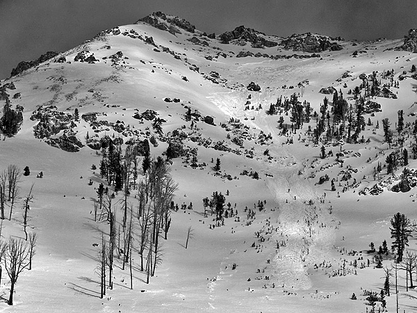 One of many natural avalanches outside Cooke City