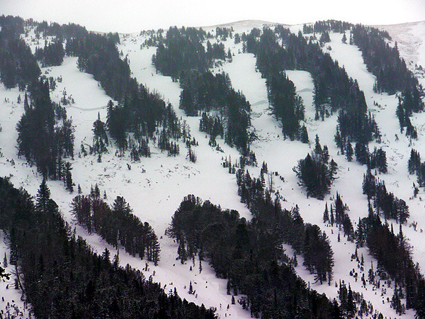 Natural Avalanche Cooke City