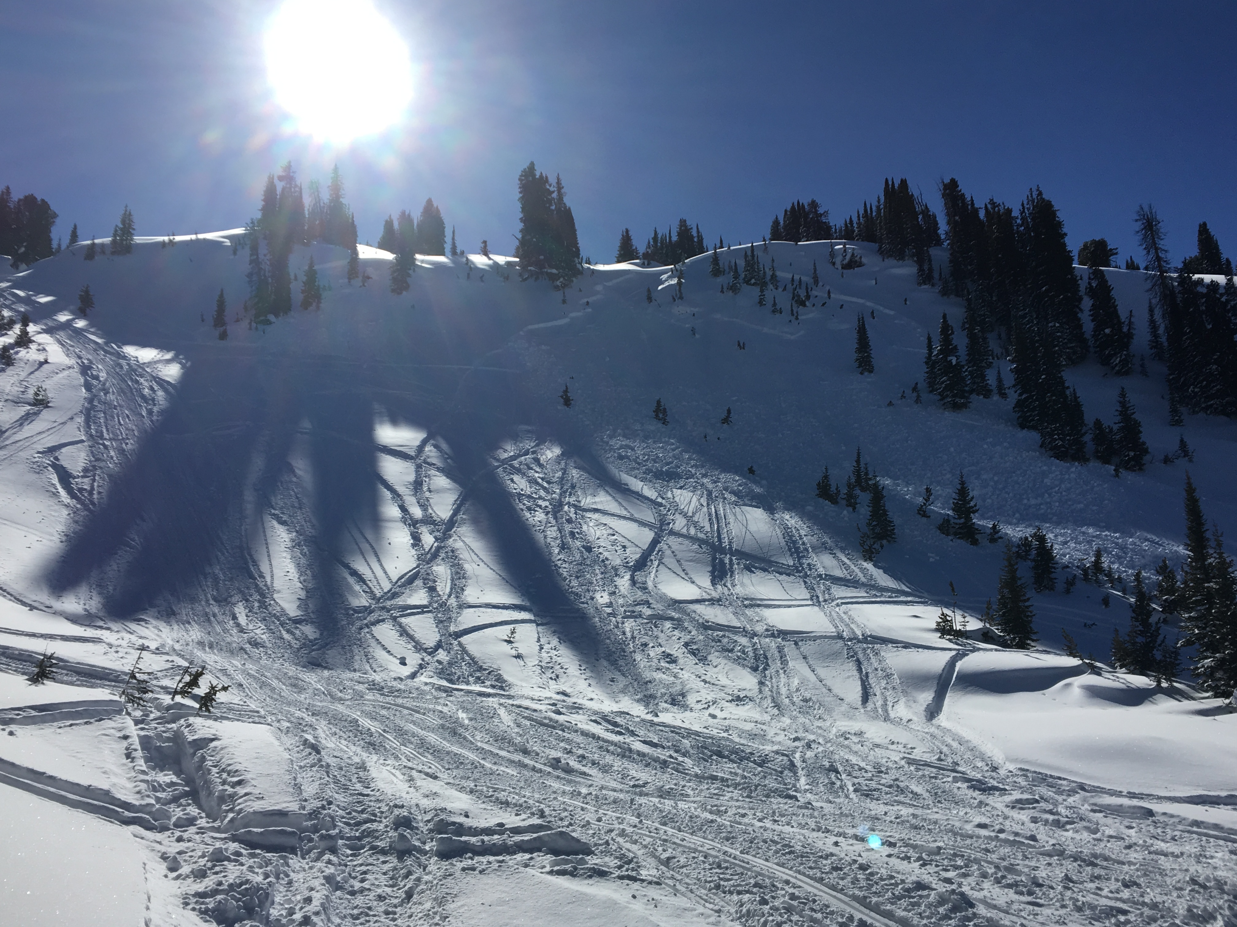 Another avalanche above Goose Creek