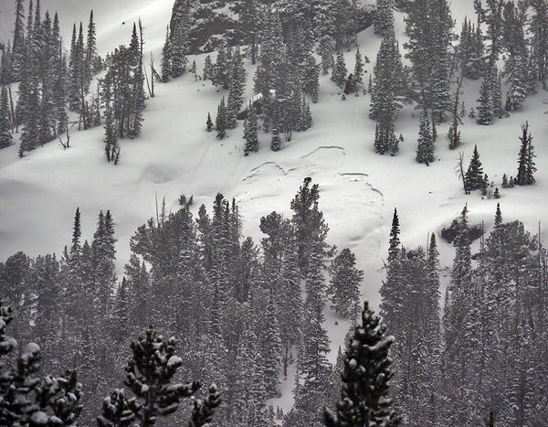 Avalanche near Cooke City